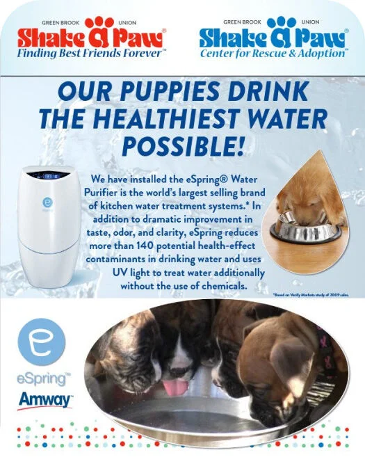 Our Pups Drink
