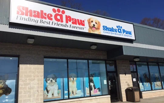 Shake A Paw Green Brook location.
