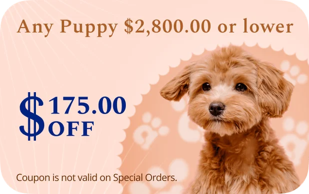 Any Puppy $175 Off